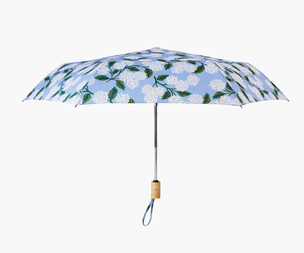 Hydrangea Umbrella